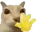 cathi