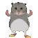 Dance_hamster