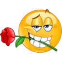yellow_rose