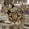 79016techsupport