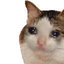 3_CatSadLikeGIF