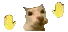 catdance