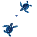 blue_turtles