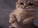 errr