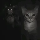 fivenightsatcars fivenightsatcars