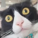 concerned