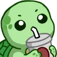 Turtle_Sip