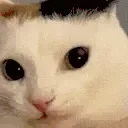 fuh