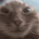 muh