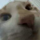 zuh zuh