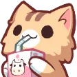 Neko_cat_sip