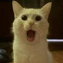 adjdksmd394