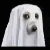 ghostdawg