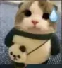 PanCat