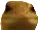 Lizard_Stare