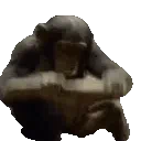 emoji_370