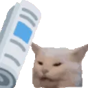 9728newspapercat