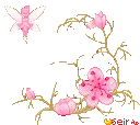fairy_119