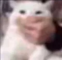 shh