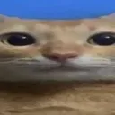 CatBoy