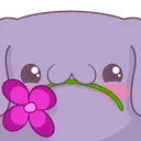 MinaFlower MinaFlower
