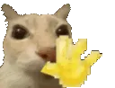catWave catWave