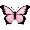 tr4p_2butterflyy