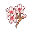 sakura