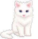 white_cat