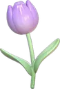 purple_tulip