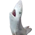 SharkYell