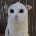 awwwno