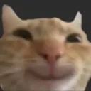 starehappy