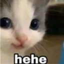 hehe hehe