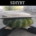 sdybt