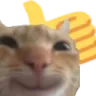 SA_catThumbsUp