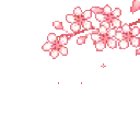 aestheticcherryblossom