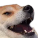 dogeKek