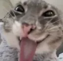 lickyou