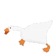 goose