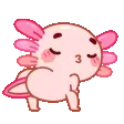axolotltwerk