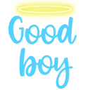 GoodBoy