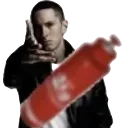 BLAMinem