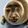 crying_seal