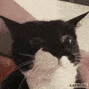 nomnomnom