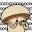 mushroom_shock65