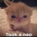 nap