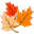 leaves