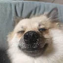 emoji_14
