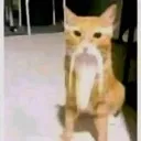 nihaofineshyt nihaofineshyt